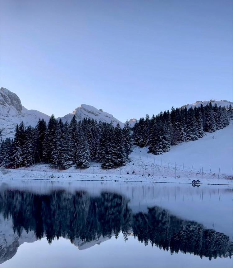 Appartamento Avec Balcon, Au Pied Des Pistes Et Randos Villard-de-Lans Esterno foto